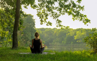 La méditation au fil des jours